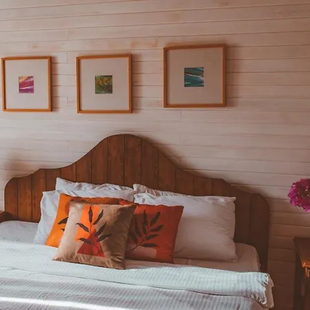 Turkuazkoey Финике