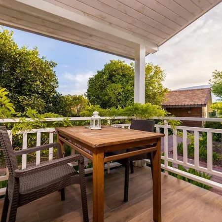 Turkuazkoey Финике