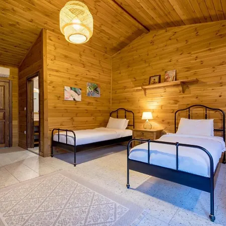 Turkuazkoey Финике