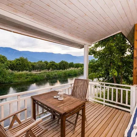 Turkuazkoey Финике