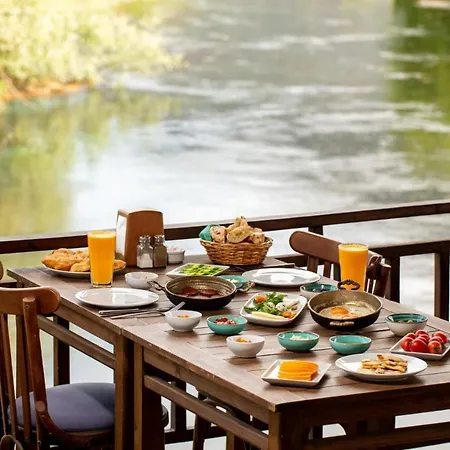 Turkuazkoey פיניקה